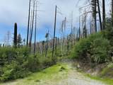 4605 Last Chance Rd - Photo 27