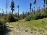 4605 Last Chance Rd - Photo 30