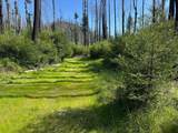 4605 Last Chance Rd - Photo 5