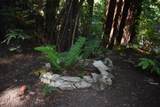 10158 Zayante Rd - Photo 26