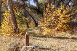 20803 Cachagua Rd - Photo 22