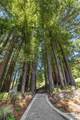 23110 Old Santa Cruz Hwy - Photo 83