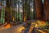 23110 Old Santa Cruz Hwy - Photo 84