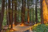 23110 Old Santa Cruz Hwy - Photo 86