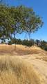41176 Lilley Mountain Dr - Photo 3