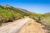 47292 Arroyo Seco Rd - Photo 11