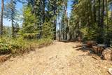 2472 Fanning Grade - Photo 30