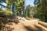 2472 Fanning Grade - Photo 9