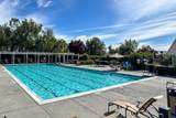 8386 Riesling Way - Photo 41