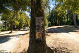 500 Wildberry Dr - Photo 23