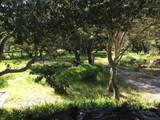 6967 Valle Pacifico Rd - Photo 1