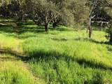 6967 Valle Pacifico Rd - Photo 3