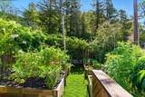 2608 Cipriani Blvd - Photo 37