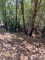 137 Deerhaven Dr - Photo 12