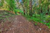 Adamo Ranch, Carmel Valley Rd - Photo 11