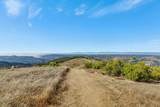 Adamo Ranch, Carmel Valley Rd - Photo 18