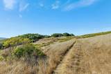 Adamo Ranch, Carmel Valley Rd - Photo 36