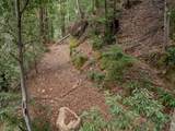02 Bear Creek - Photo 1