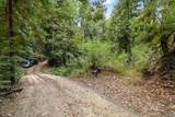 02 Bear Creek - Photo 11
