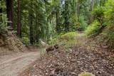 02 Bear Creek - Photo 14