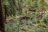 02 Bear Creek - Photo 16