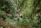 02 Bear Creek - Photo 17