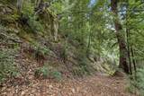 02 Bear Creek - Photo 18