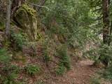 02 Bear Creek - Photo 19