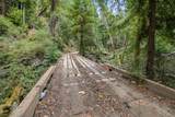 02 Bear Creek - Photo 22