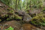 02 Bear Creek - Photo 23