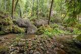 02 Bear Creek - Photo 25