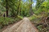 02 Bear Creek - Photo 26
