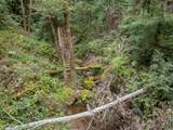 02 Bear Creek - Photo 27