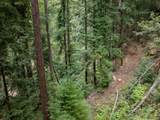 02 Bear Creek - Photo 28
