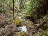 02 Bear Creek - Photo 31