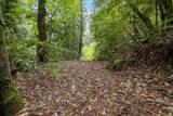 02 Bear Creek - Photo 8