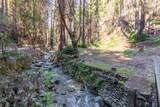 11810 Clear Creek - Photo 15