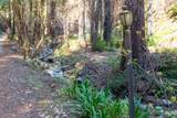 11810 Clear Creek - Photo 16