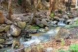 11810 Clear Creek - Photo 20