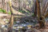 11810 Clear Creek - Photo 26
