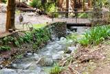 11810 Clear Creek - Photo 8