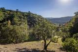 28007 Mercurio Rd - Photo 10