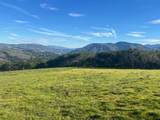 64 Marguerite (Tehama) - Photo 1