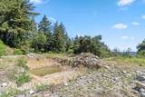 22981 Highway 17 - Photo 17