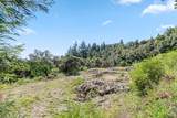22981 Highway 17 - Photo 19