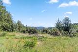 22981 Highway 17 - Photo 21