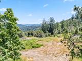 22981 Highway 17 - Photo 23