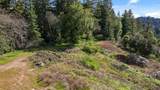 22981 Highway 17 - Photo 28