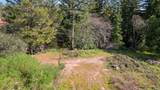 22981 Highway 17 - Photo 29