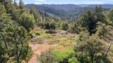 22981 Highway 17 - Photo 6